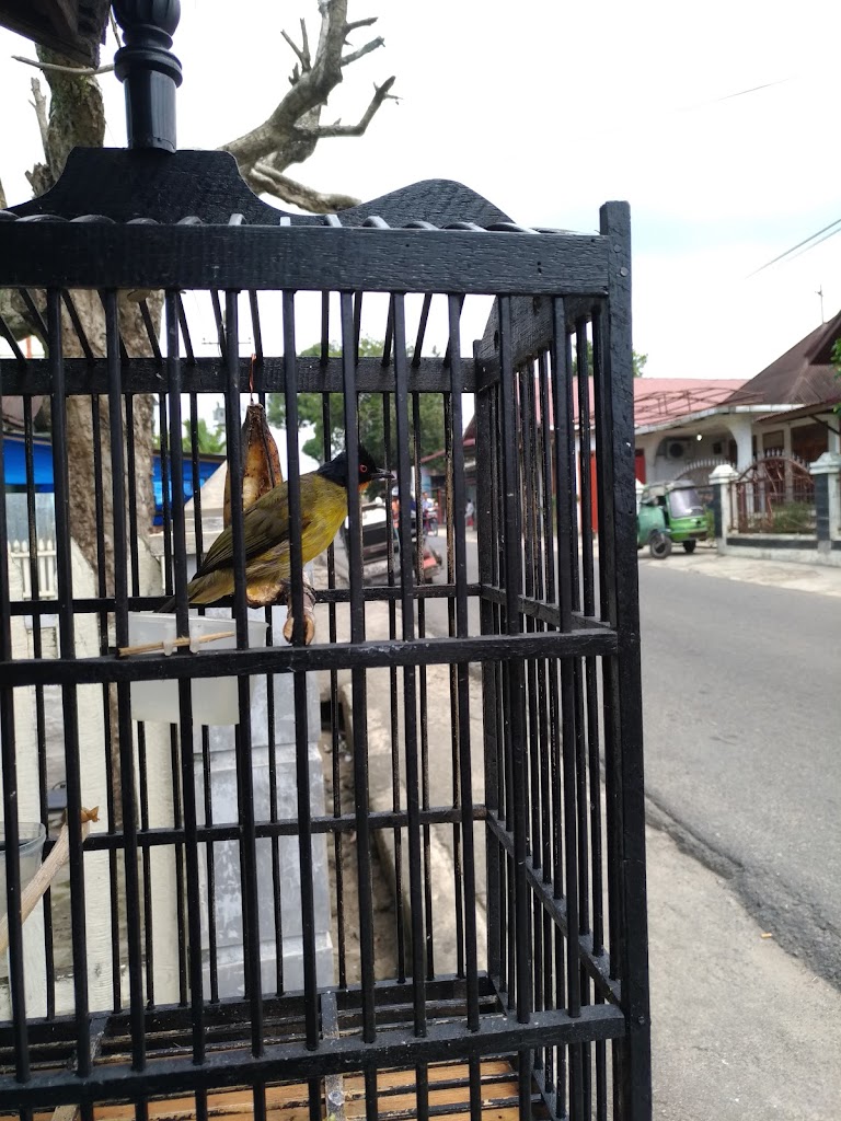 bengkel vespa mamak zahar