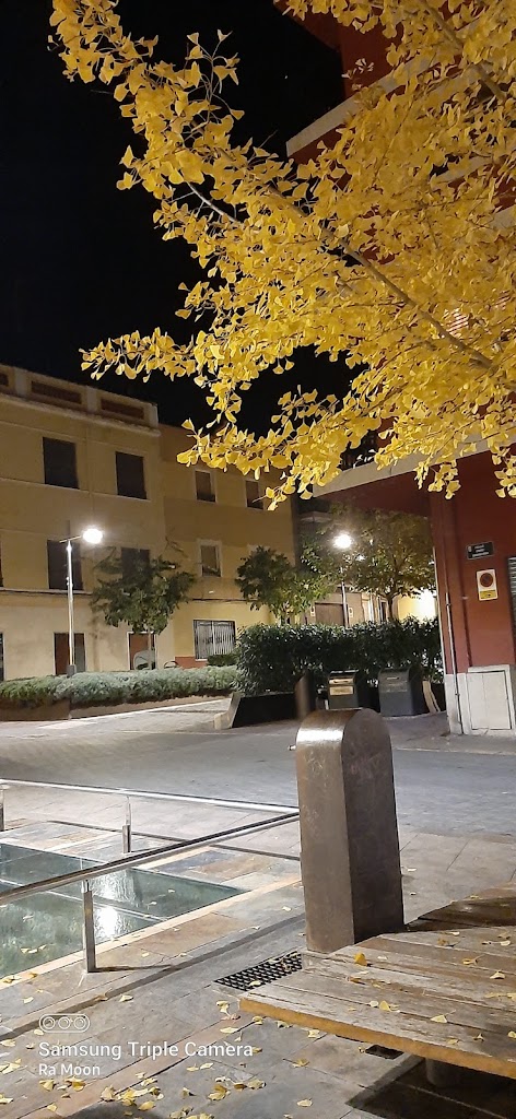 Plaza Pascual Domenech