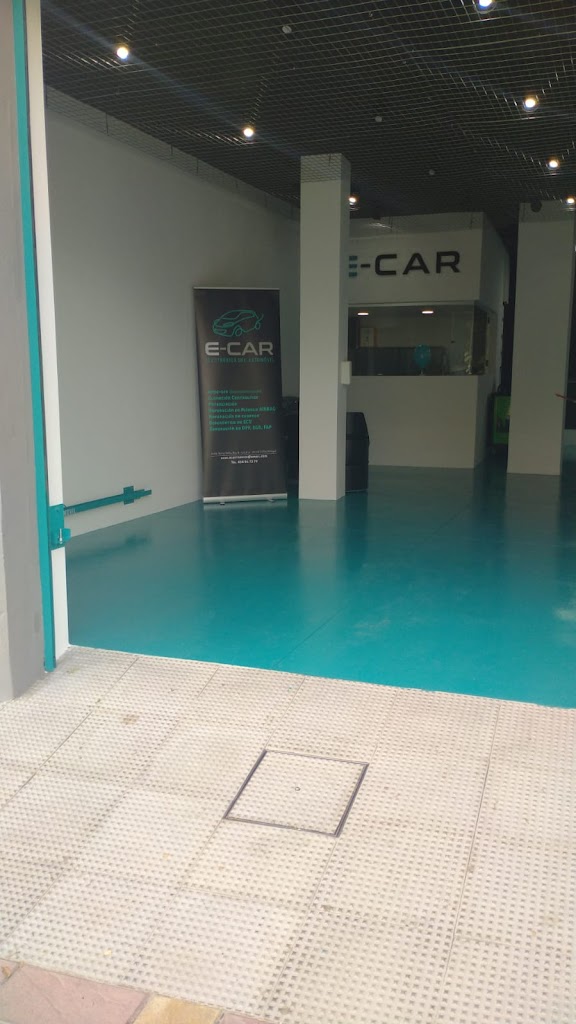 E-CAR sistemas electronicos y electricos para tu coche