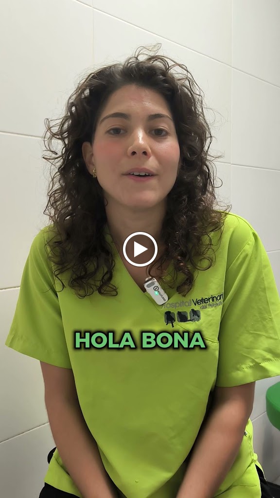 Hospital Veterinari del Penedes - Vilafranca del Penedes — Del propietario