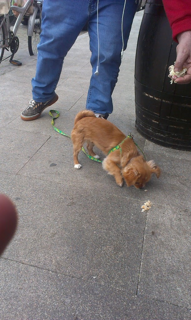 bar a nosa bodeguilla