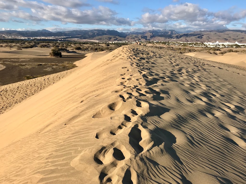 maspalomas dune circle
