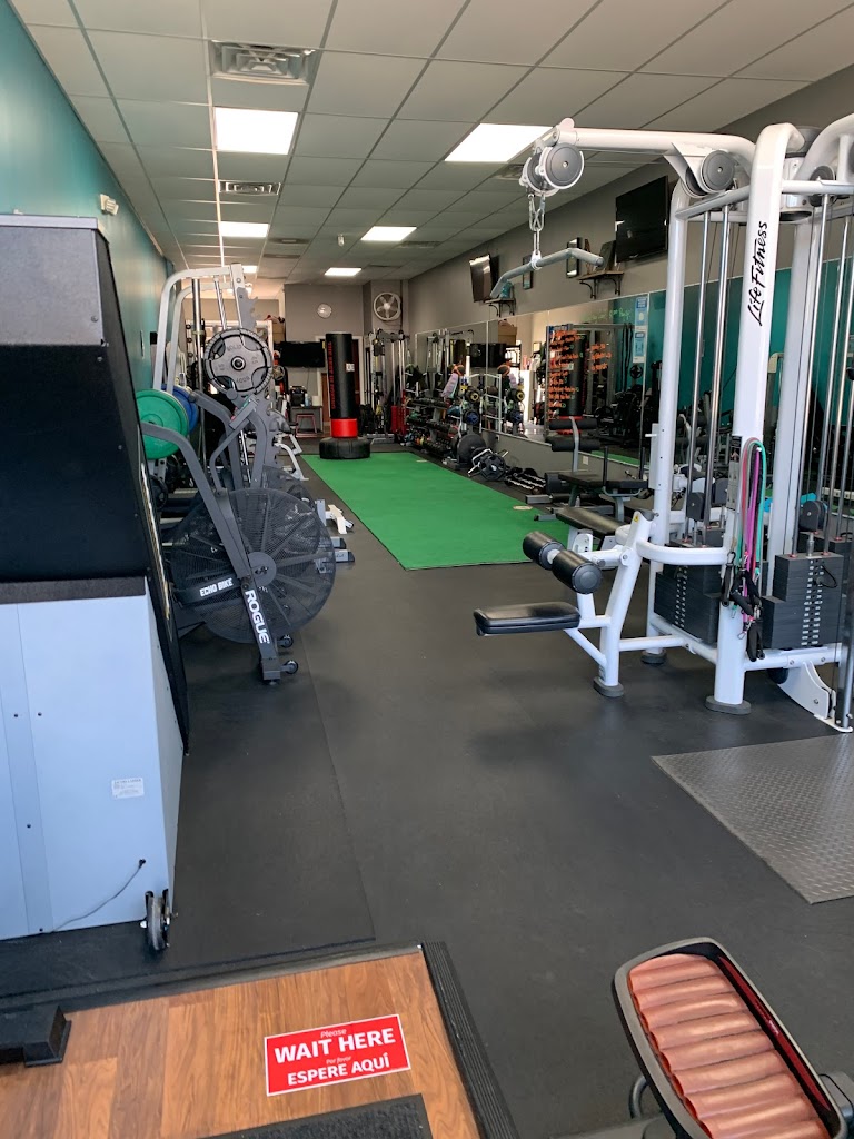  Elite Physique Fitness Studio