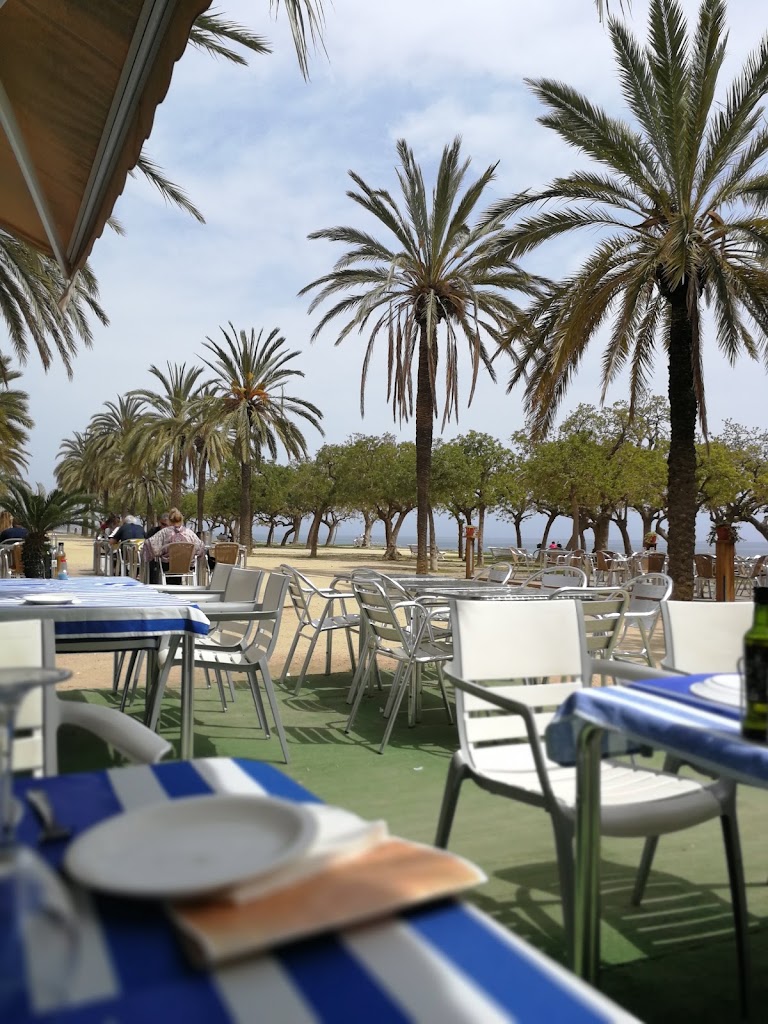 Cambados Mataro — Ambiente