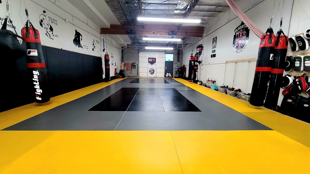  Gladiator Fight Academy