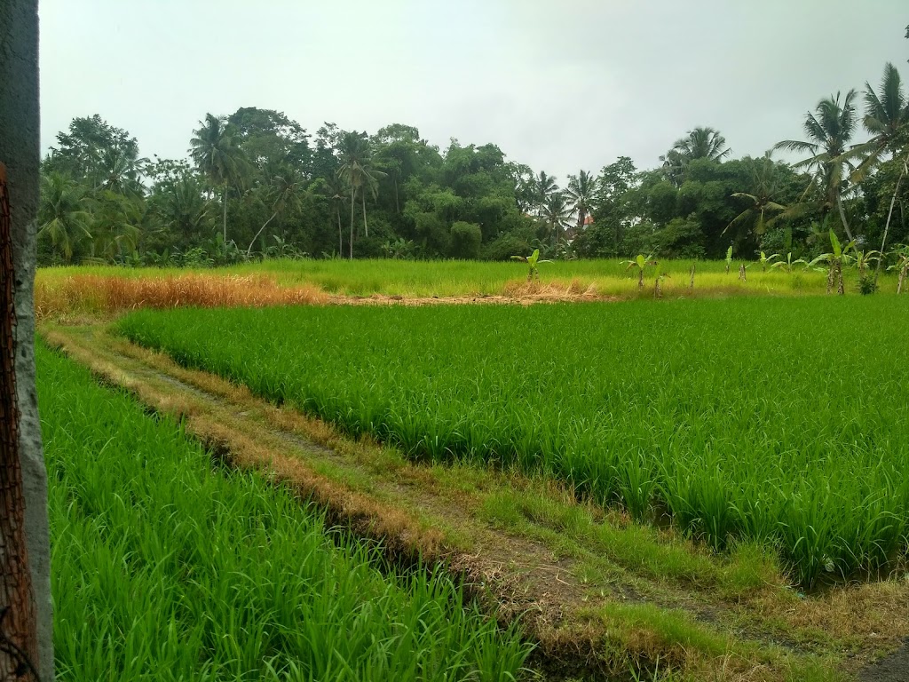 Bengkel NIRWANA Bedugul
