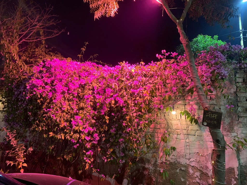 Nature Resort