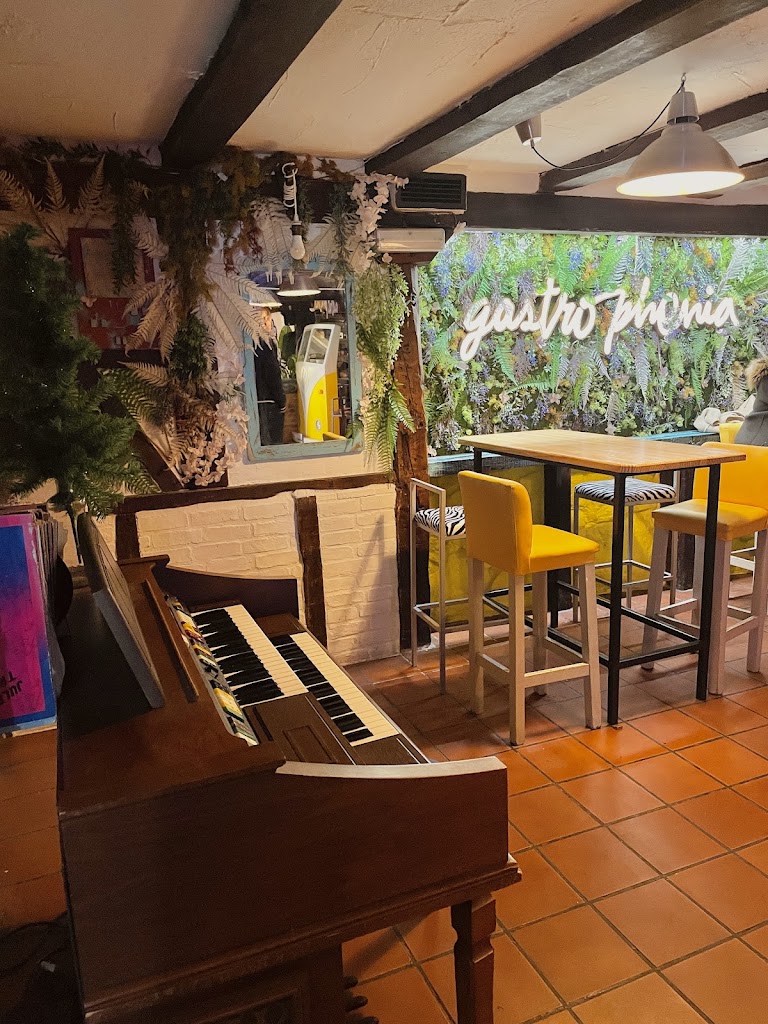 Gastrophenia — Ambiente