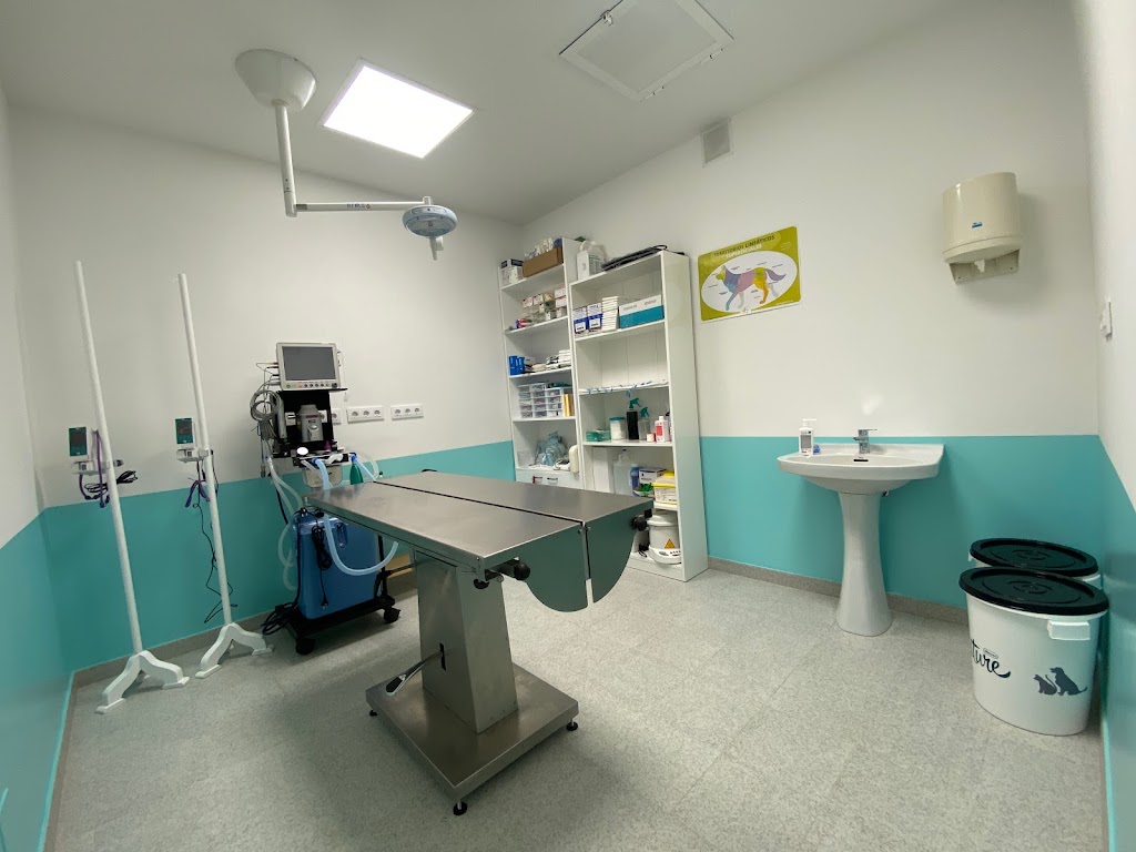 Clinica Veterinaria Golmar — Del propietario
