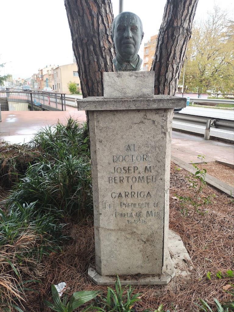 Escultura al Dr. Josep M. Bertomeu