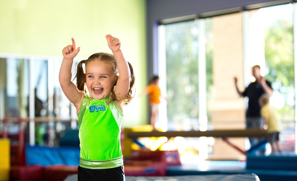  The Little Gym of Springhouse