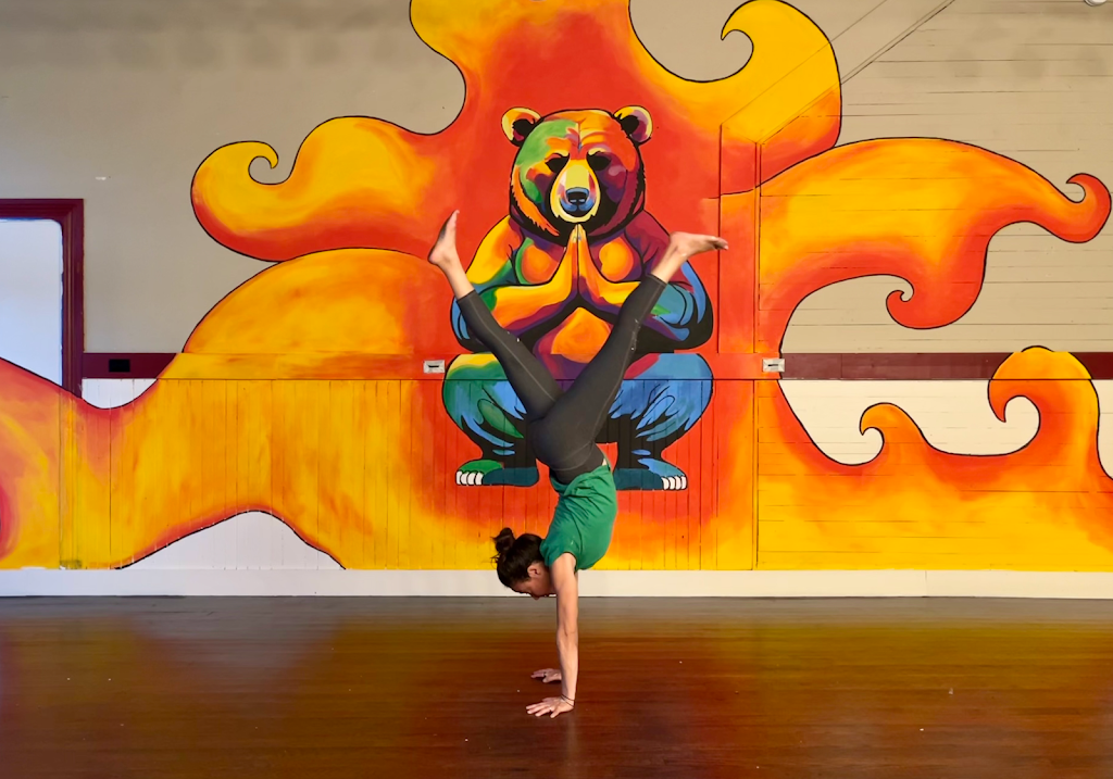  Bright Bear Yoga