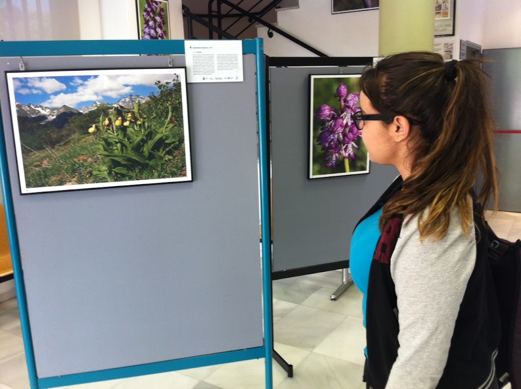 Biblioteca Municipal Almudena Grandes