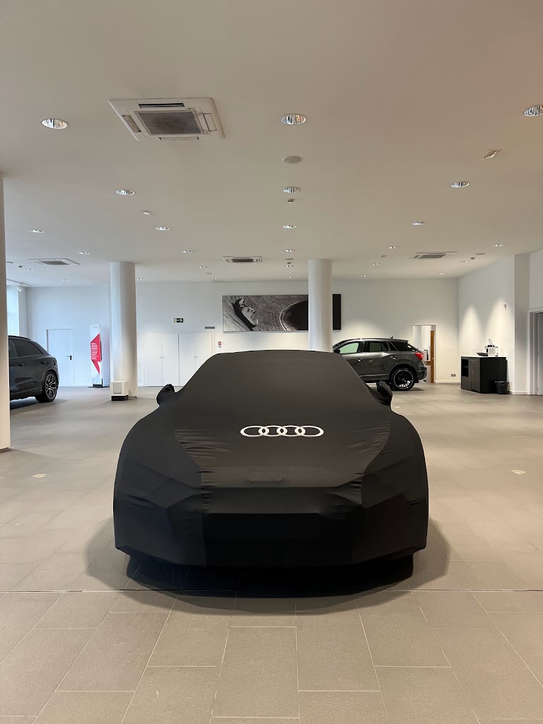 Autopodium Audi Figueres — Del propietario