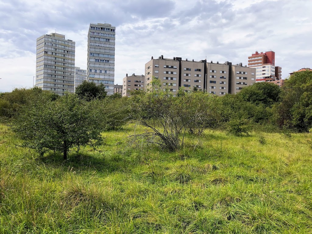 Residencia Tagore, S.L.U.