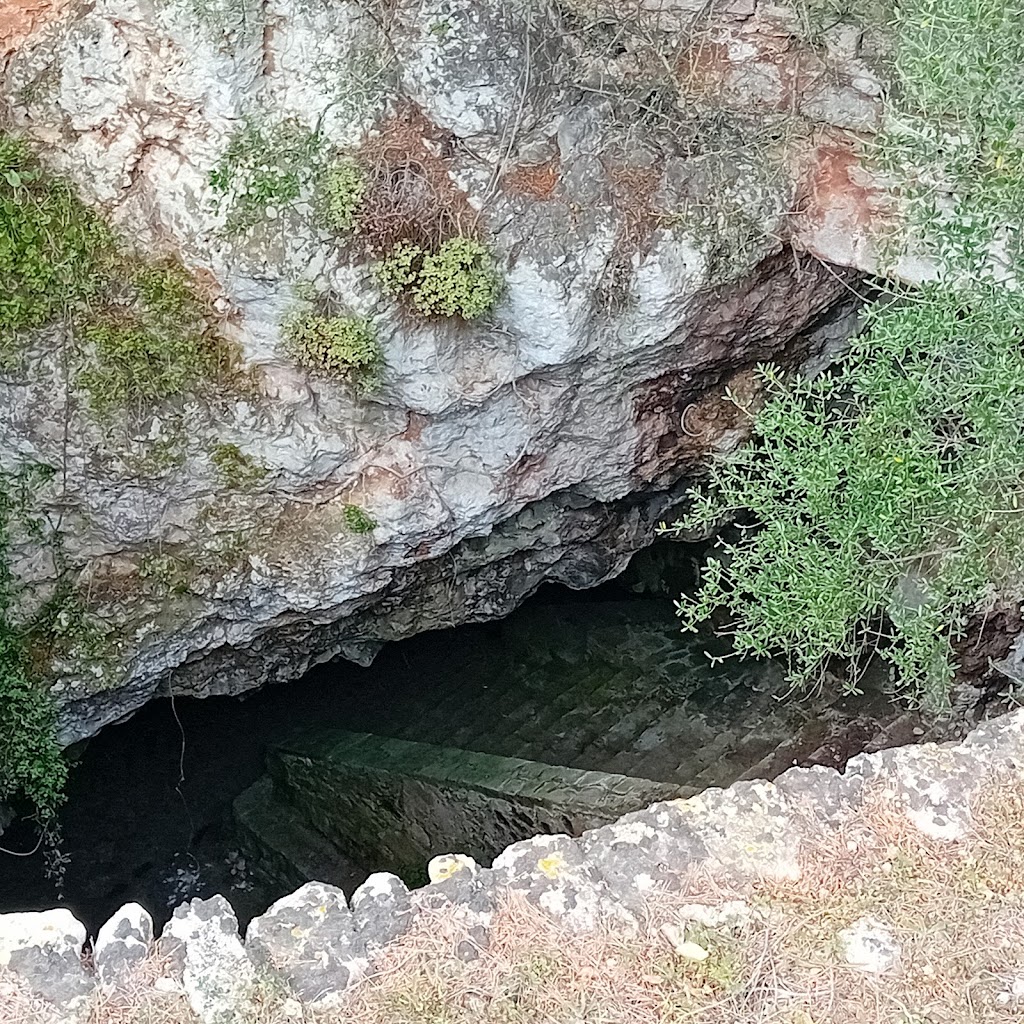 Necropoli de Ca l'amo en Miquel / Es Cuitor