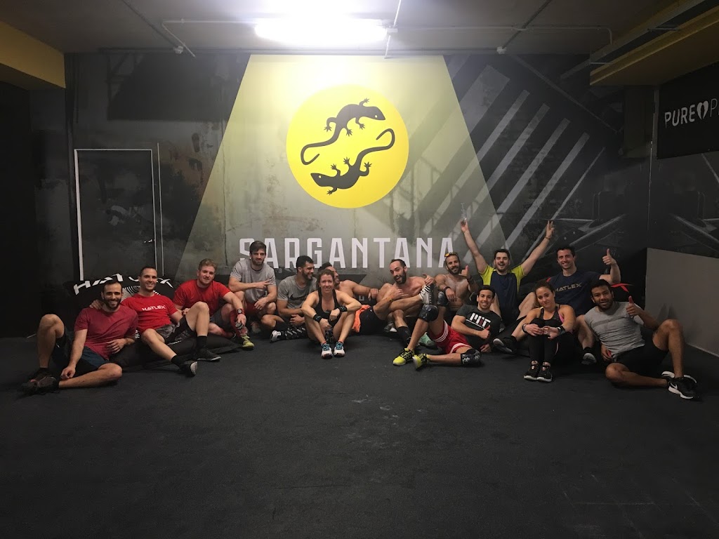 Sargantana Box Boadilla