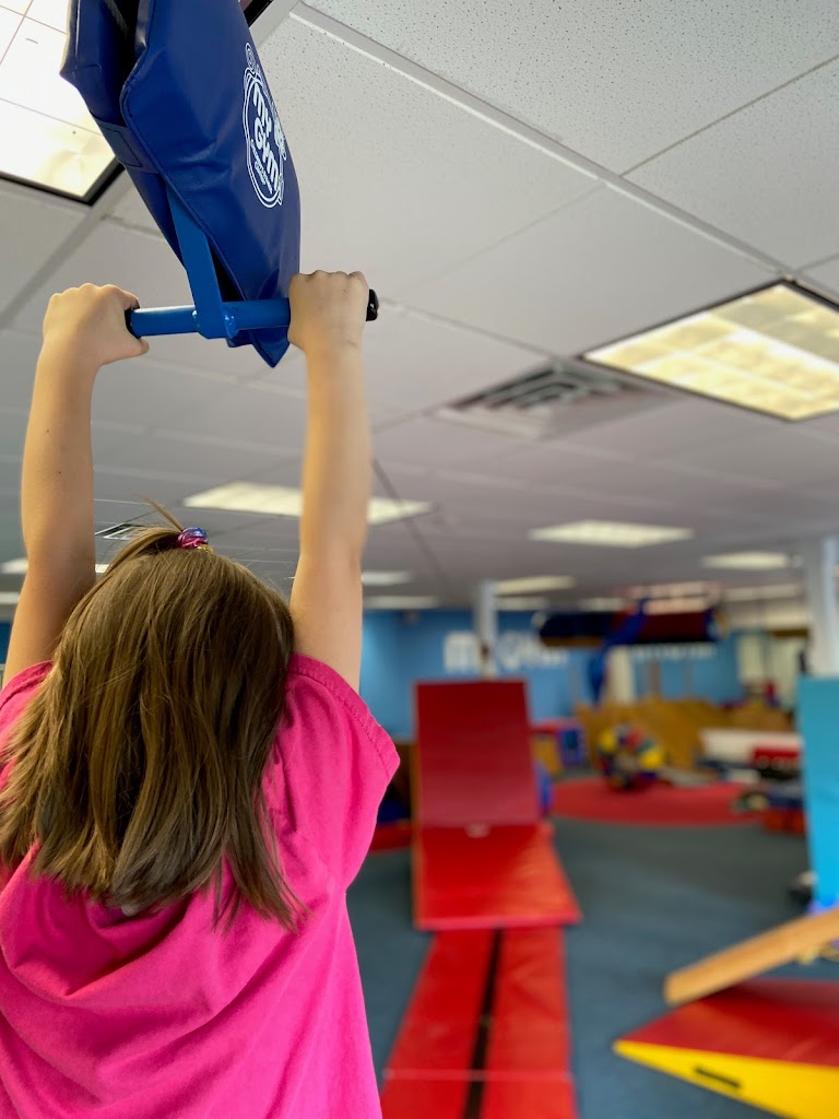  My Gym Children's Fitness Center