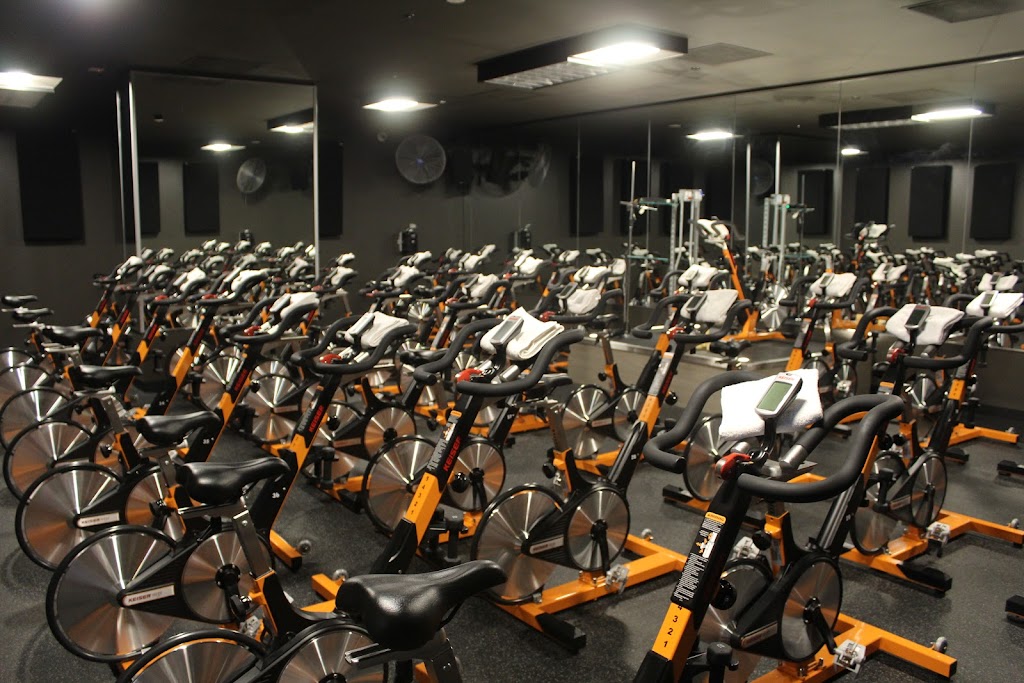  Rush Cycle - St. Pete