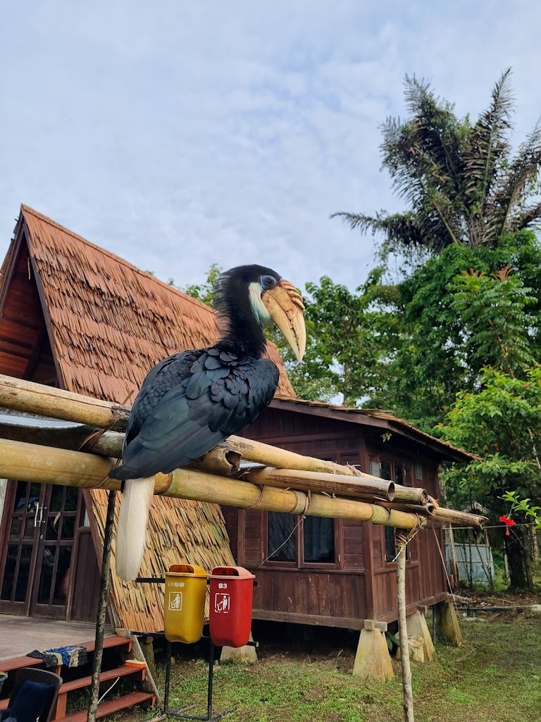 EcoVillage Malagufuk