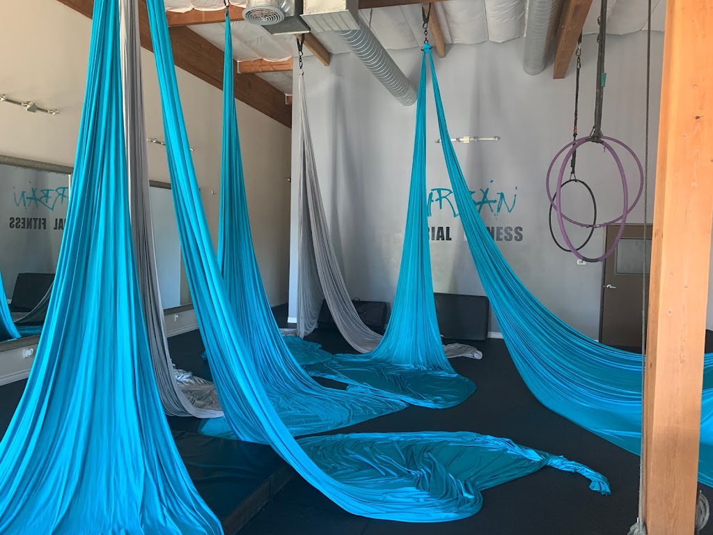  Urban Aerial Fitness