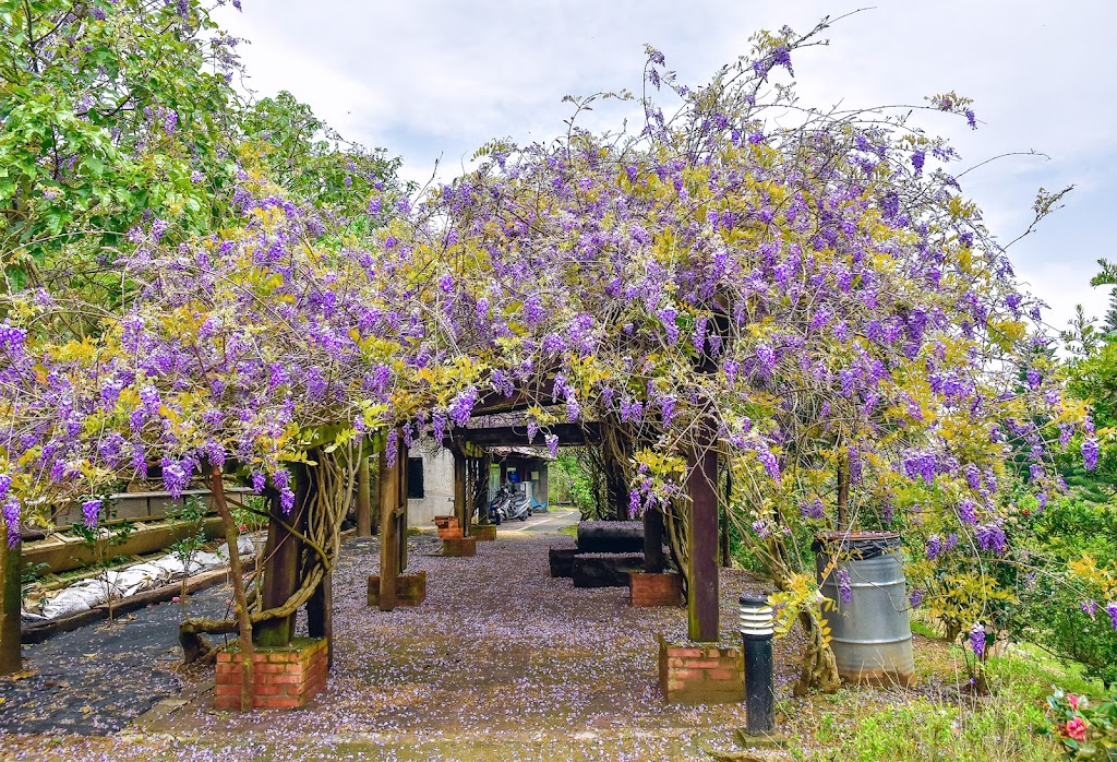 杜石地一號紫錐花莊園 的照片