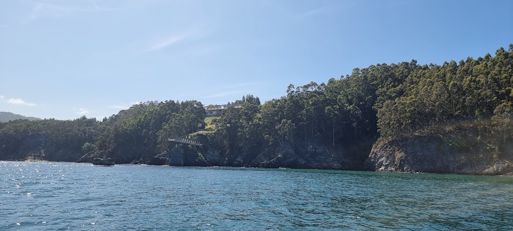Vivemar: Barco Turistico por la Ria y Fucino do Porco — Todas