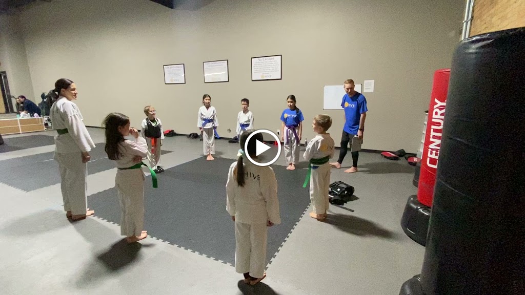  Hive Martial Arts