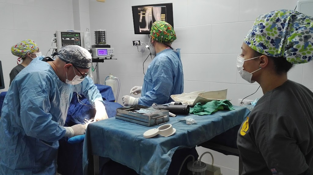 Vet Cali - Centro Veterinario — Del propietario