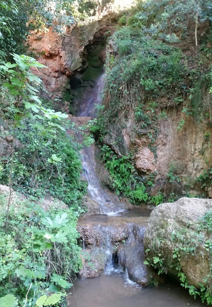 Fuente de las Roviras