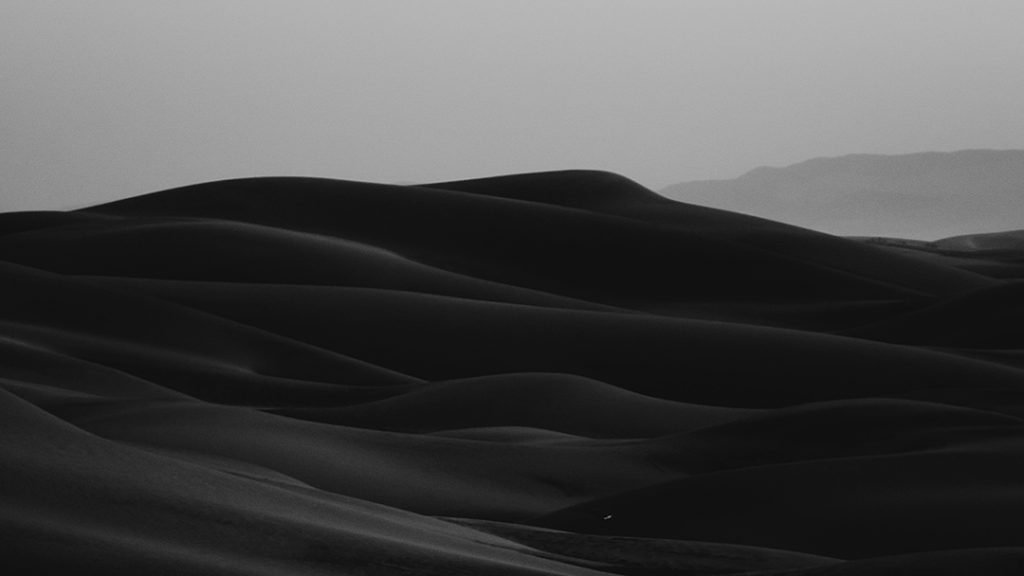 CAROL Estetica Integral