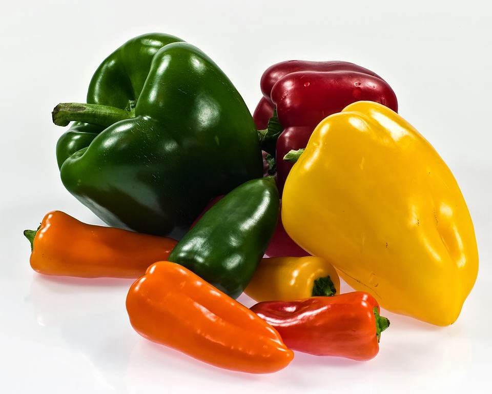 Nutritionist in Auburn