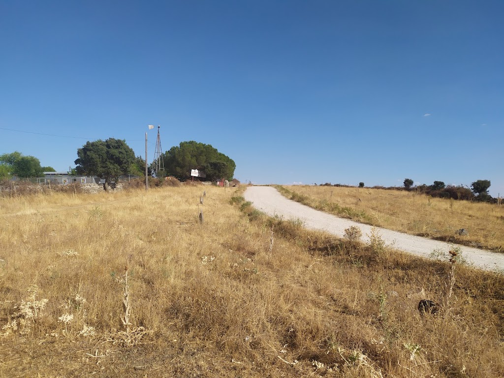 Plantacion ARBA Colmenar Viejo Canada de Tablada