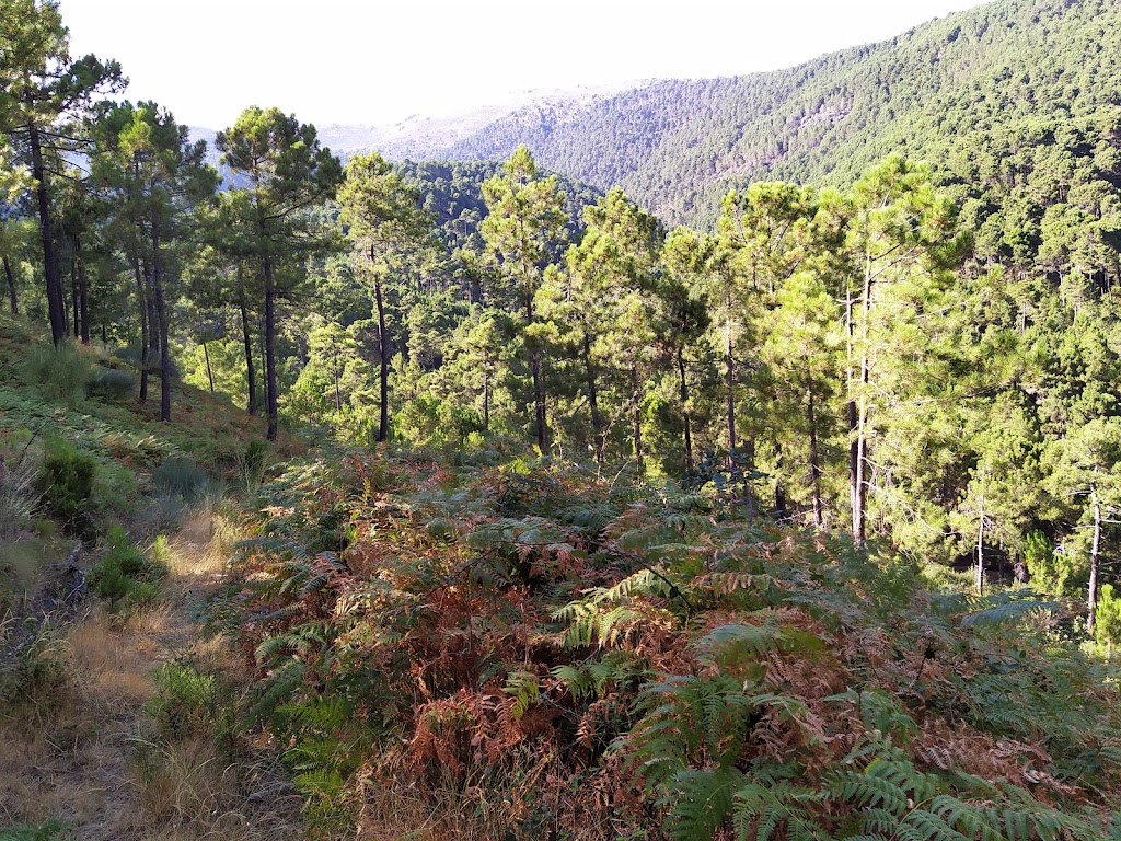Risco del Artunero