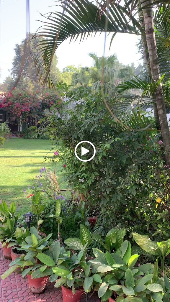Videos