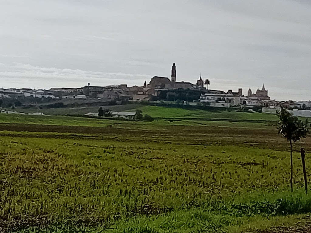 Via Verde Marchena-Fuentes de Andalucia