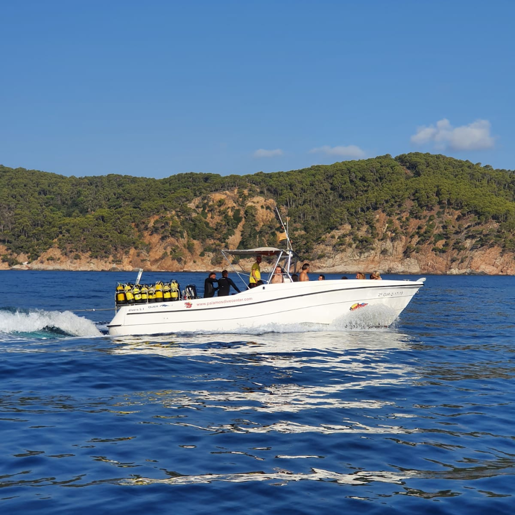 DIVE CENTER PALAMOS