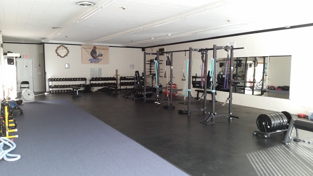  1MoRep Training Studio