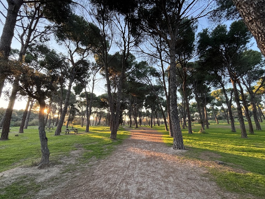 Parque forestal Valdelatas