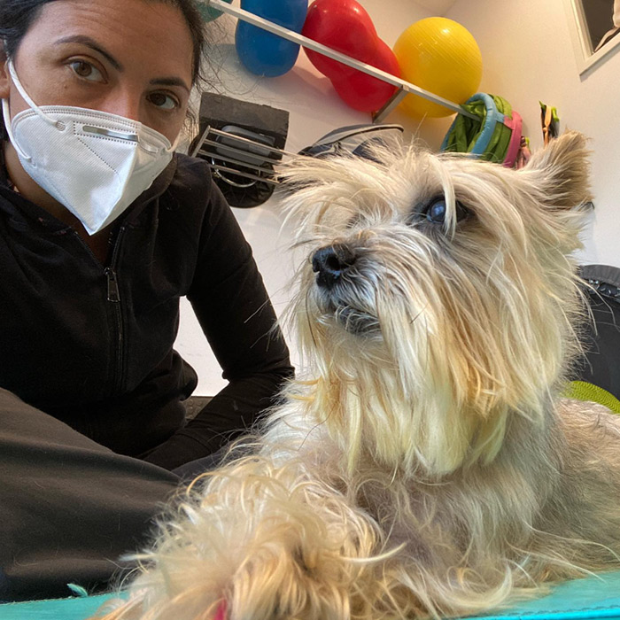 Carmen Ceres, Veterinaria Especialista en Fisioterapia y Rehabilitacion para Perros y Gatos