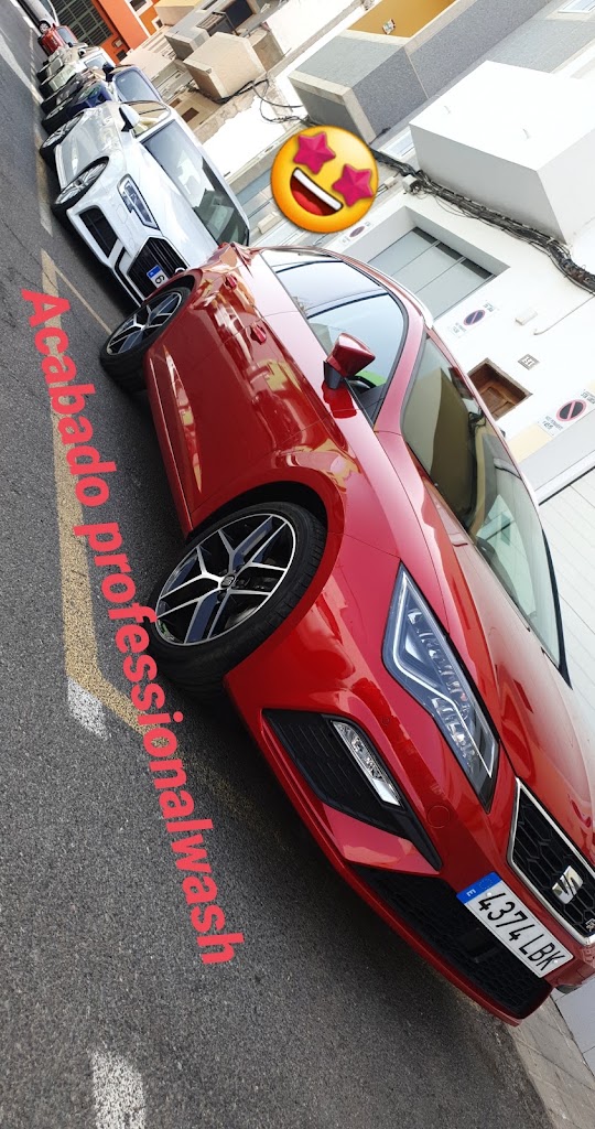 Auto lavado professional wash — Del propietario
