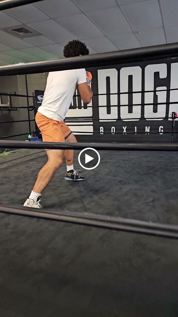  Doghouse Boxing & Fitness
