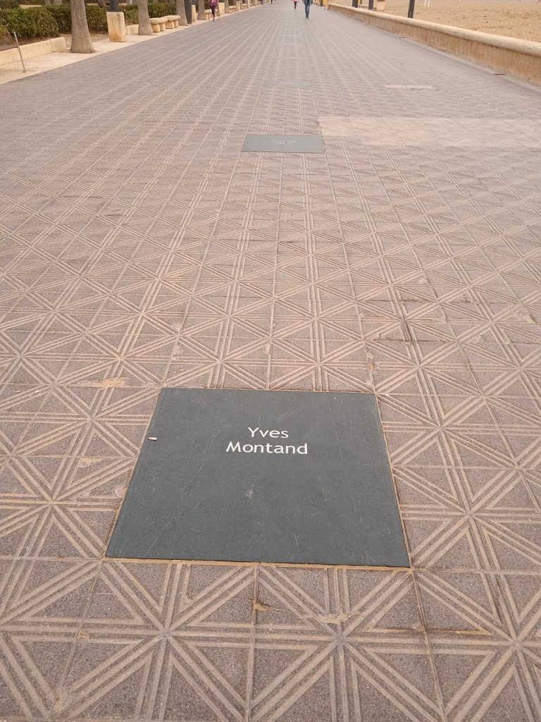 Paseo de las Palmeras de la Mostra