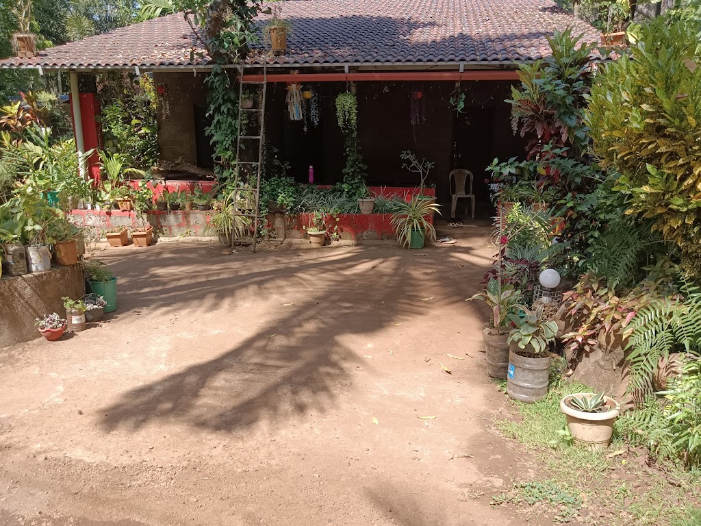 Birds Paradise Dandeli Homestay