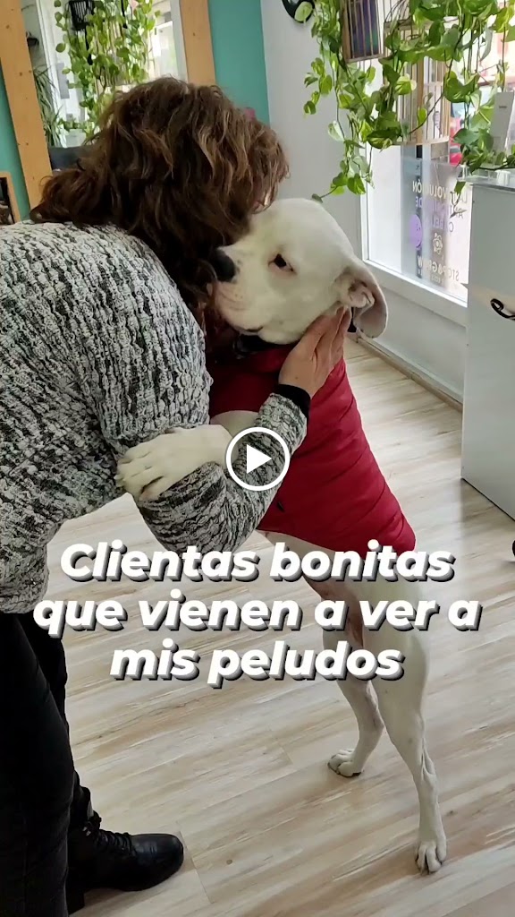 By Nieves Lirio beauty concept — Videos