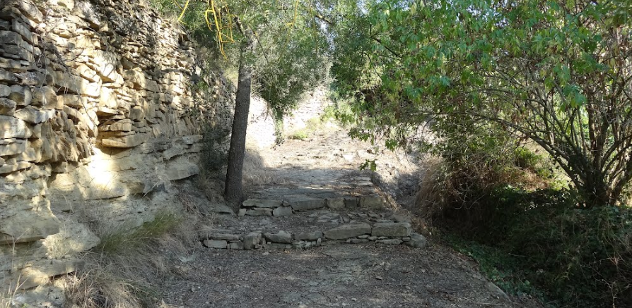 Camino real de Manresa