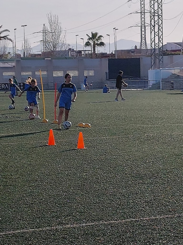 Campo Municipal "Jose Manuel Pesudo" F-11,Almazora