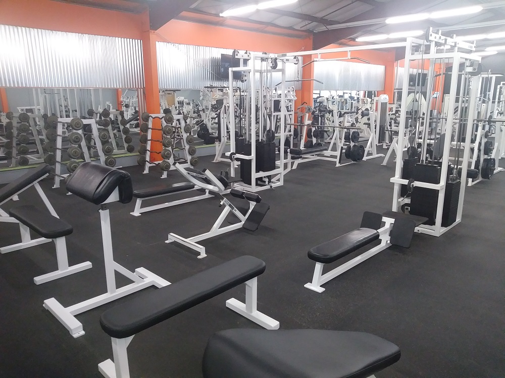  The Fitness Factory