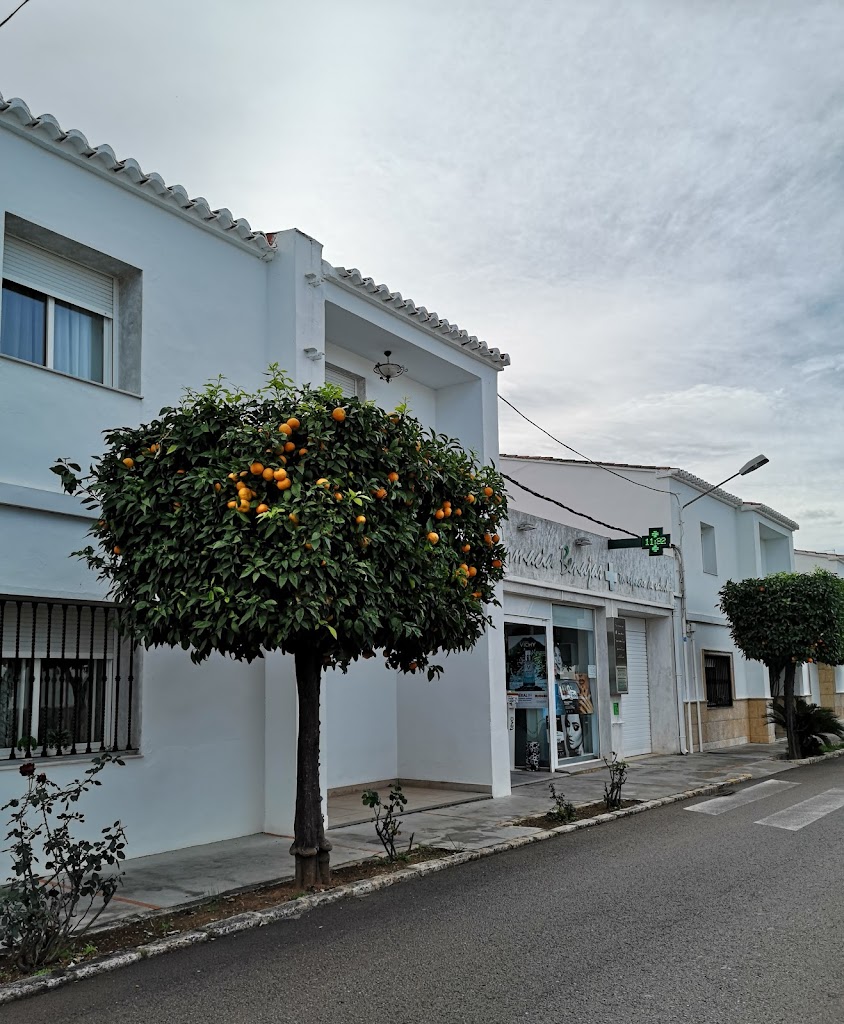 Farmacia Ana Maria Benajas Villalba