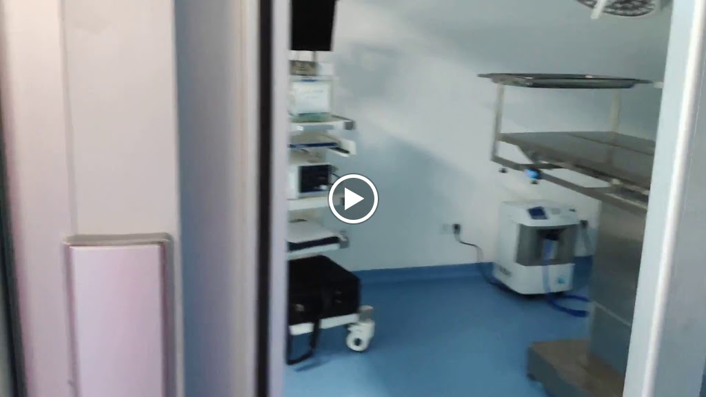 Hospital Veterinari Sitges — Del propietario